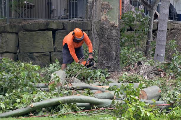 Best Commercial Tree Services  in Emerald Isle, NC